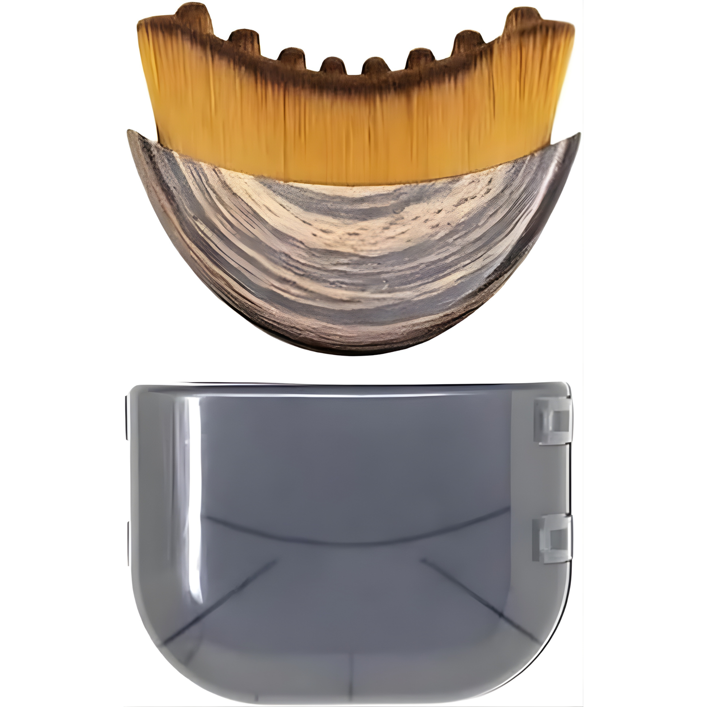 Hairbrush with wooden handle and bristles on a white background